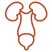 nephrology-icon