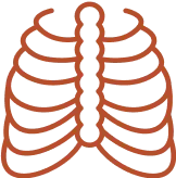 radiology